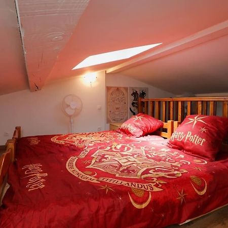 Harry Potter - Le Logis Du Petit Sorcier - Clim Apartment Carcassonne Exterior photo